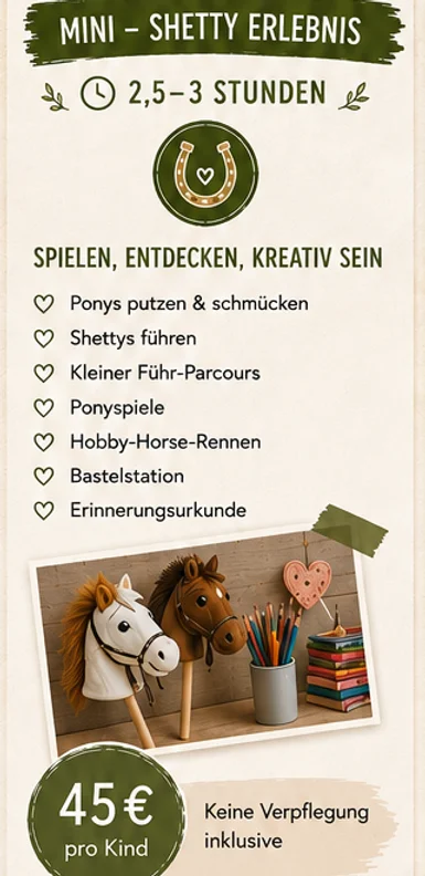 Mini-Shetty Erlebnis — 45 € pro Kind