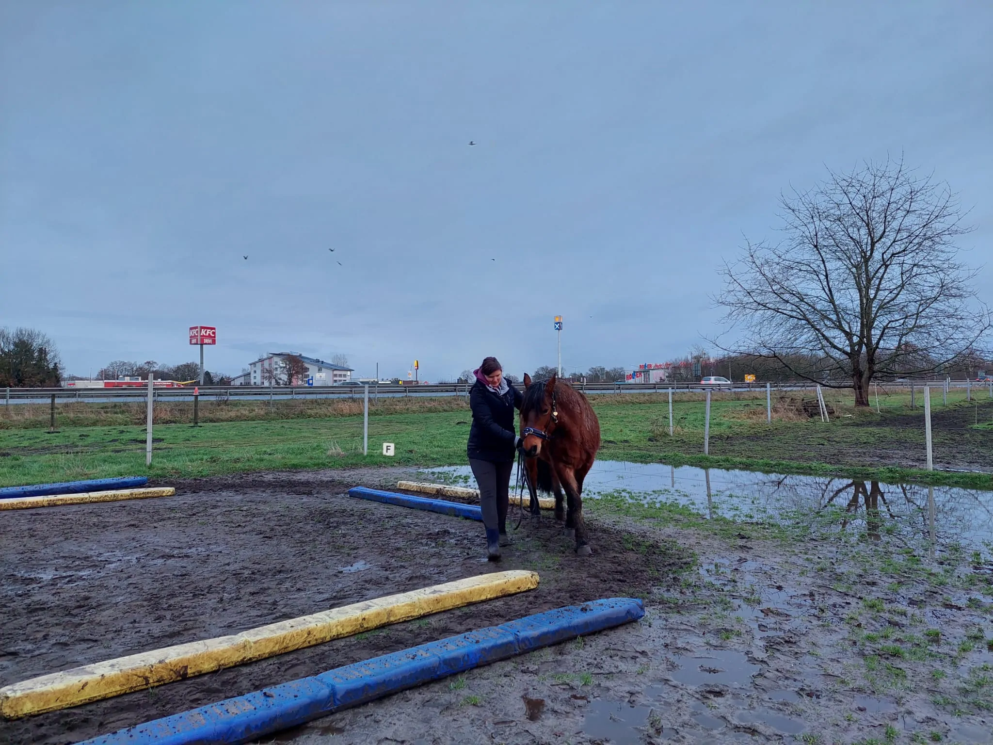 Equikinetic Kurs