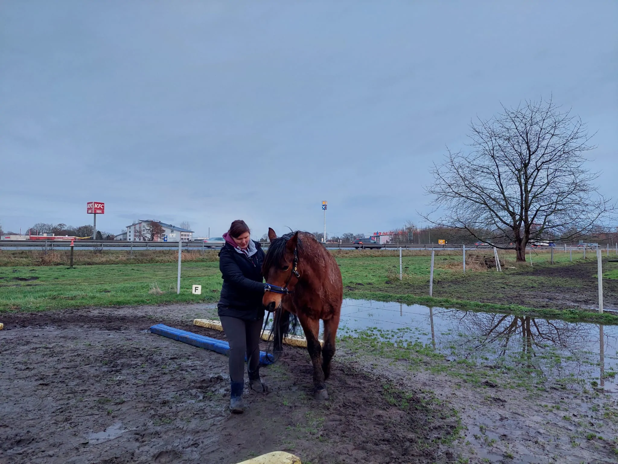 Equikinetic Kurs