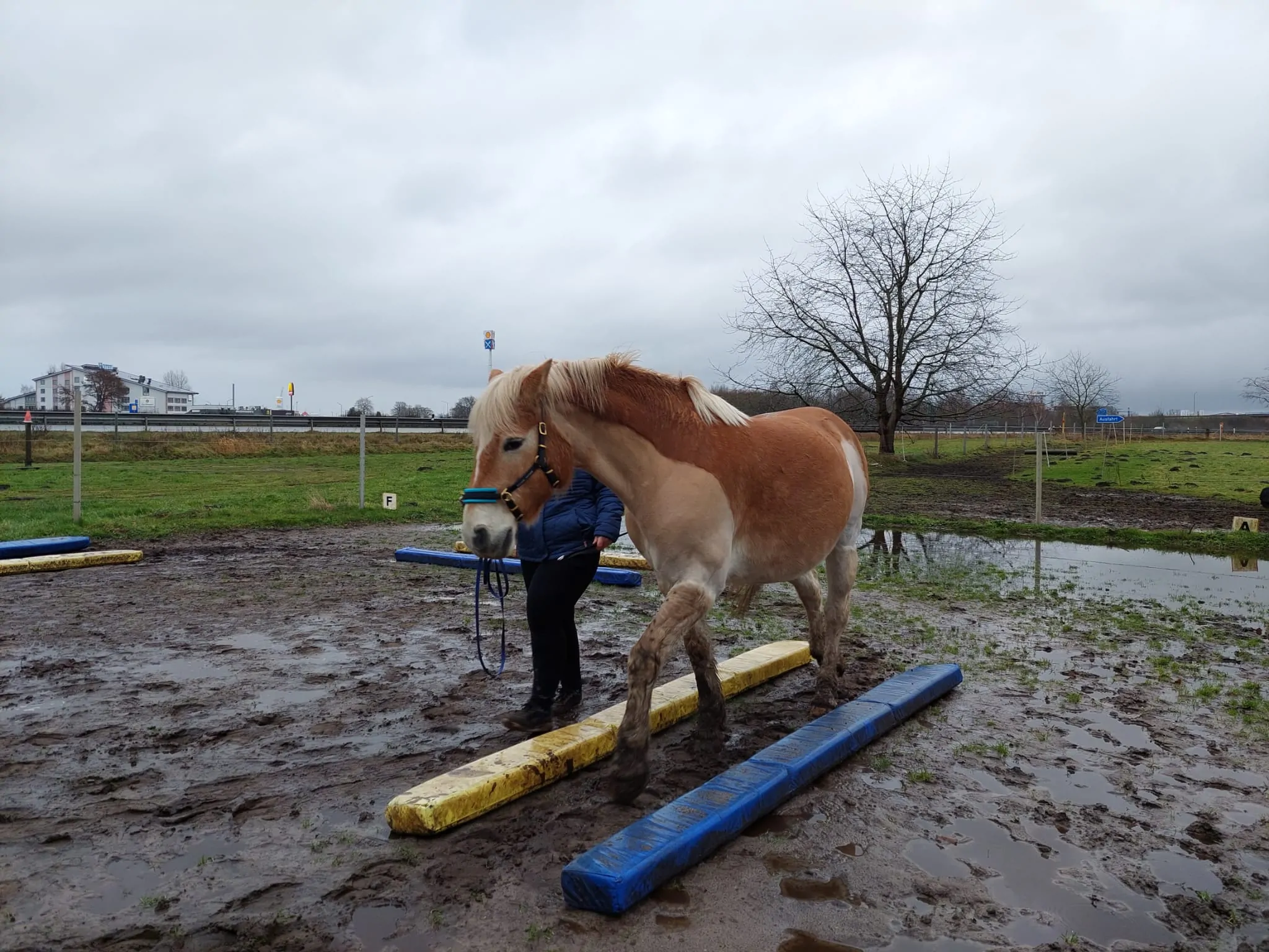 Equikinetic Kurs