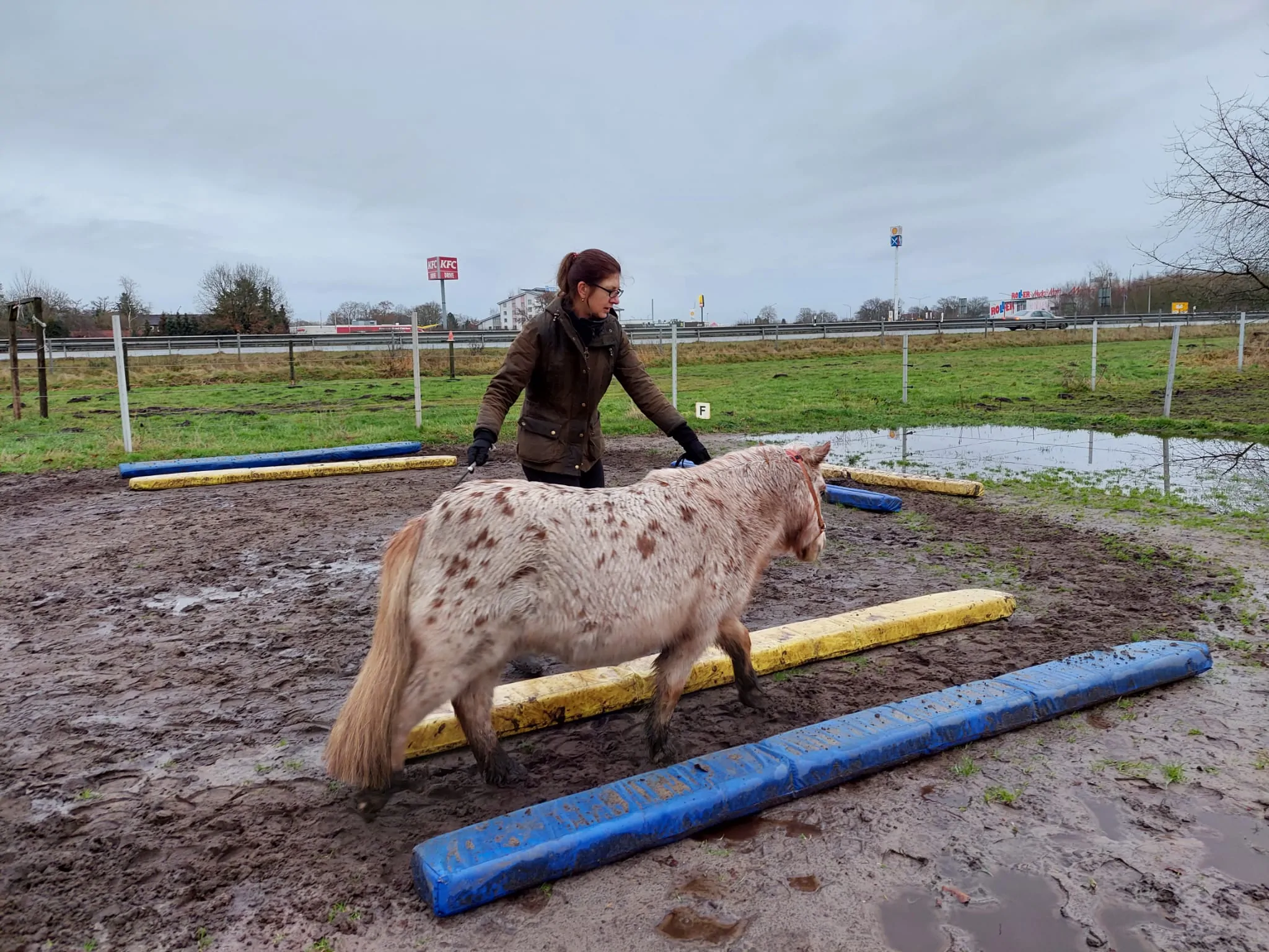 Equikinetic Kurs