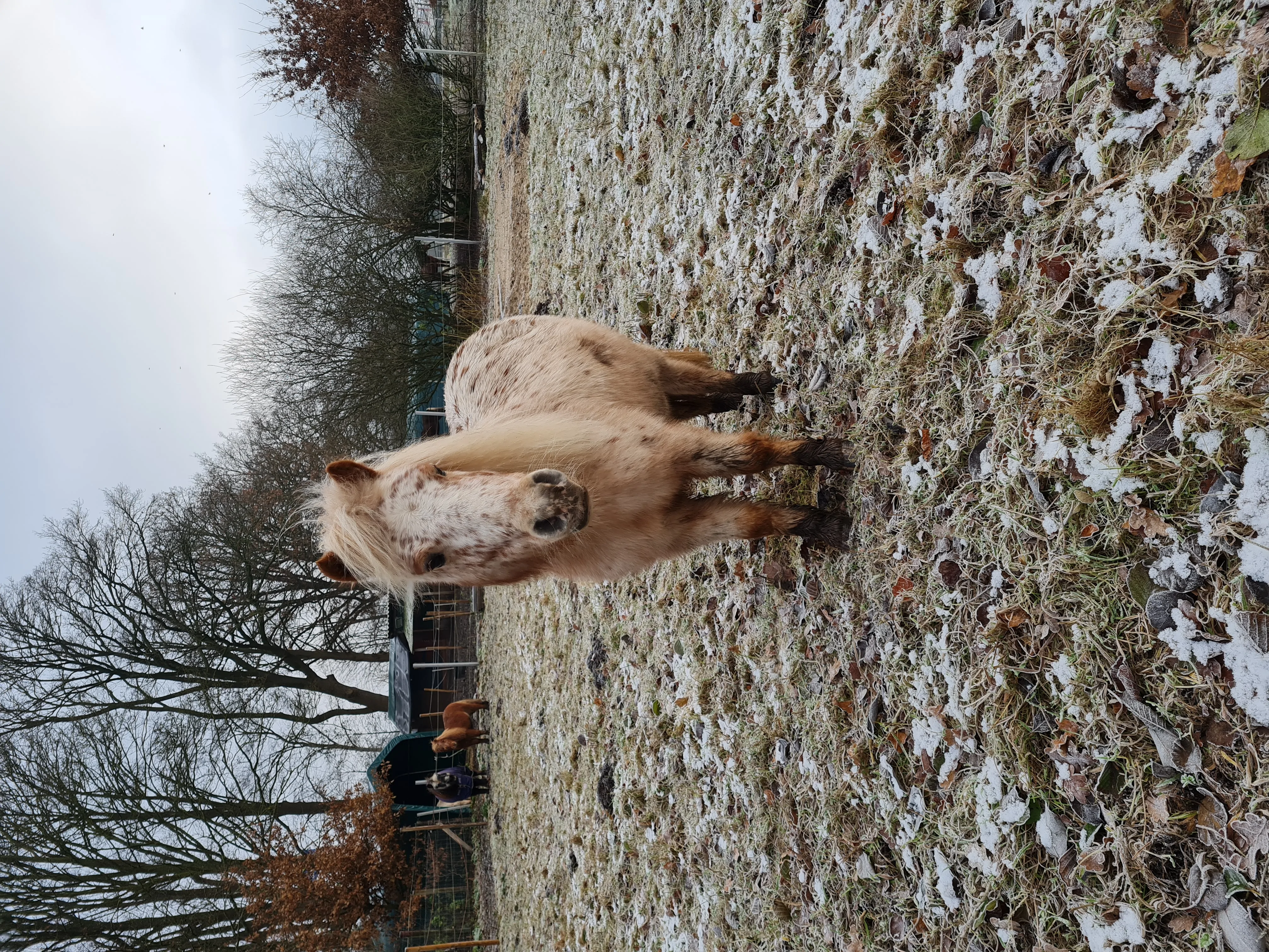 Hof Impressionen