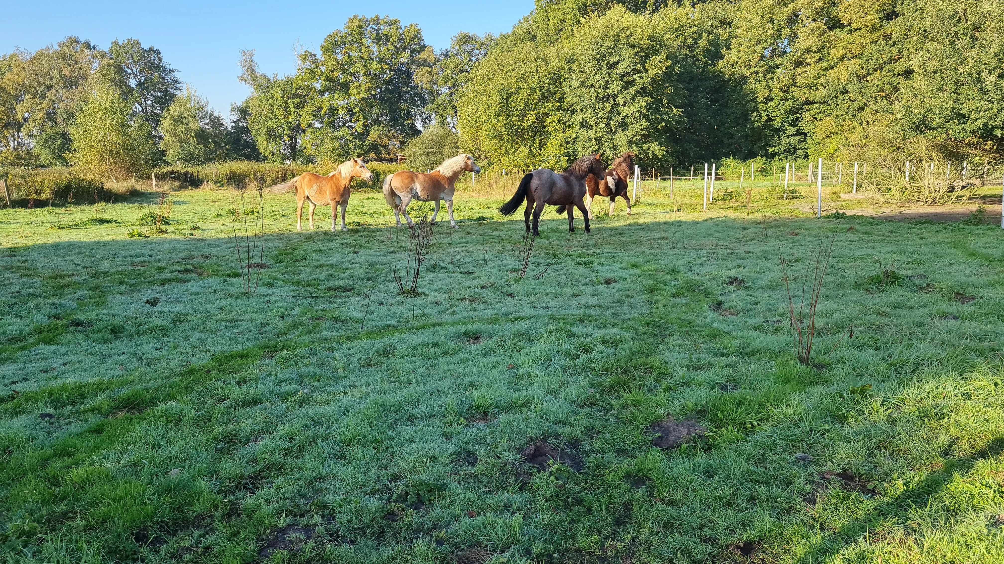 Hof Impressionen