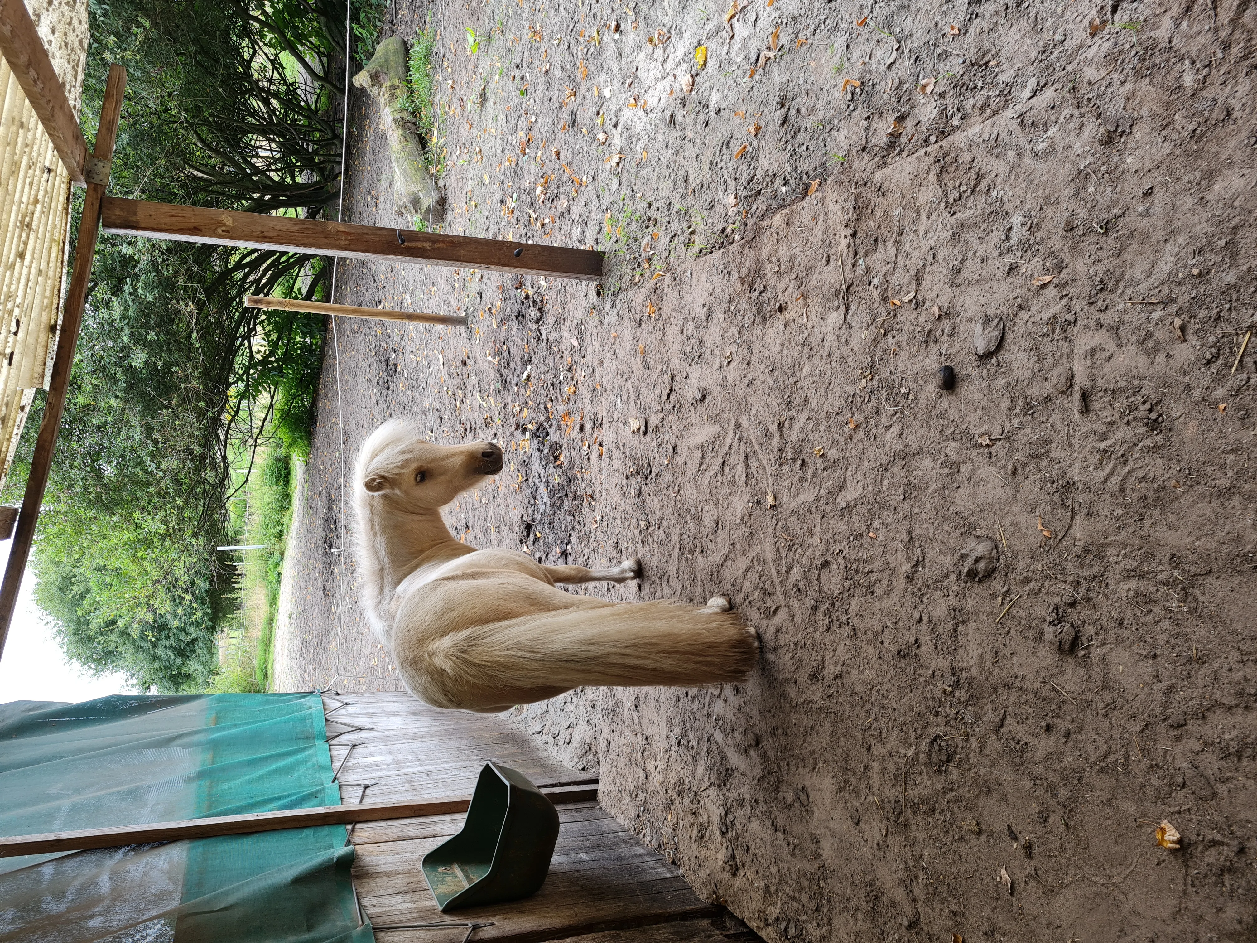 Hof Impressionen