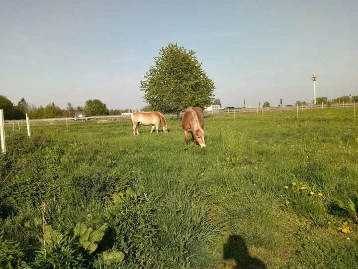 Hof Impressionen