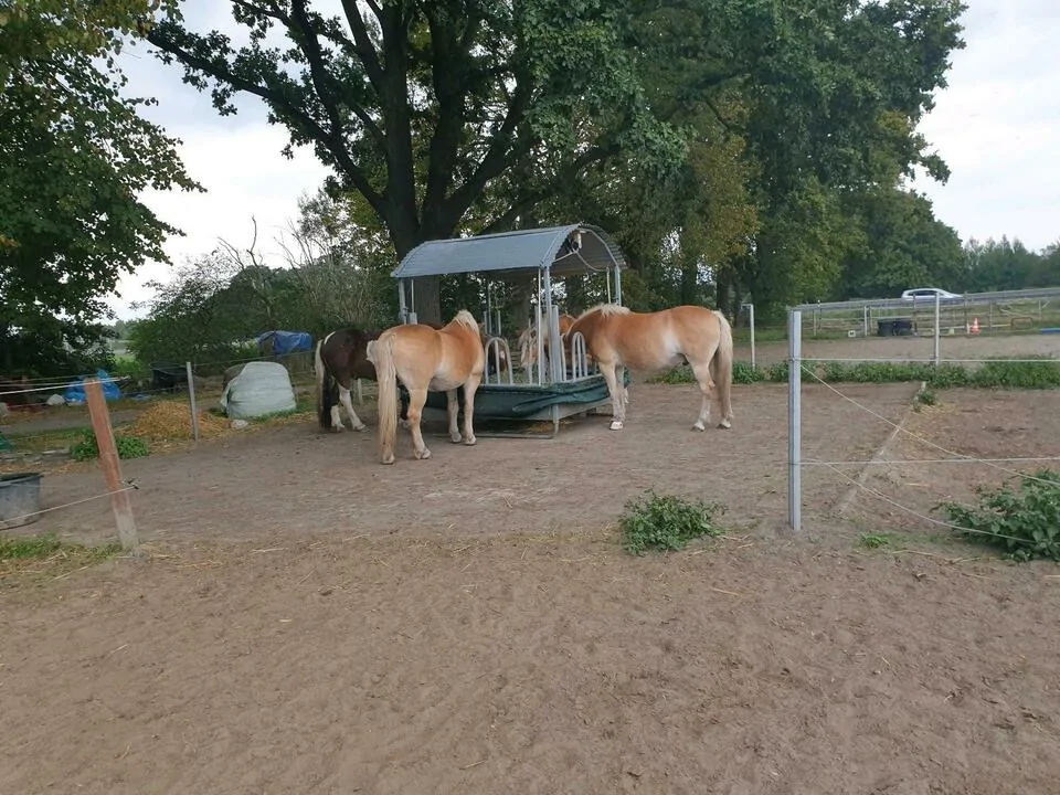 Hof Impressionen